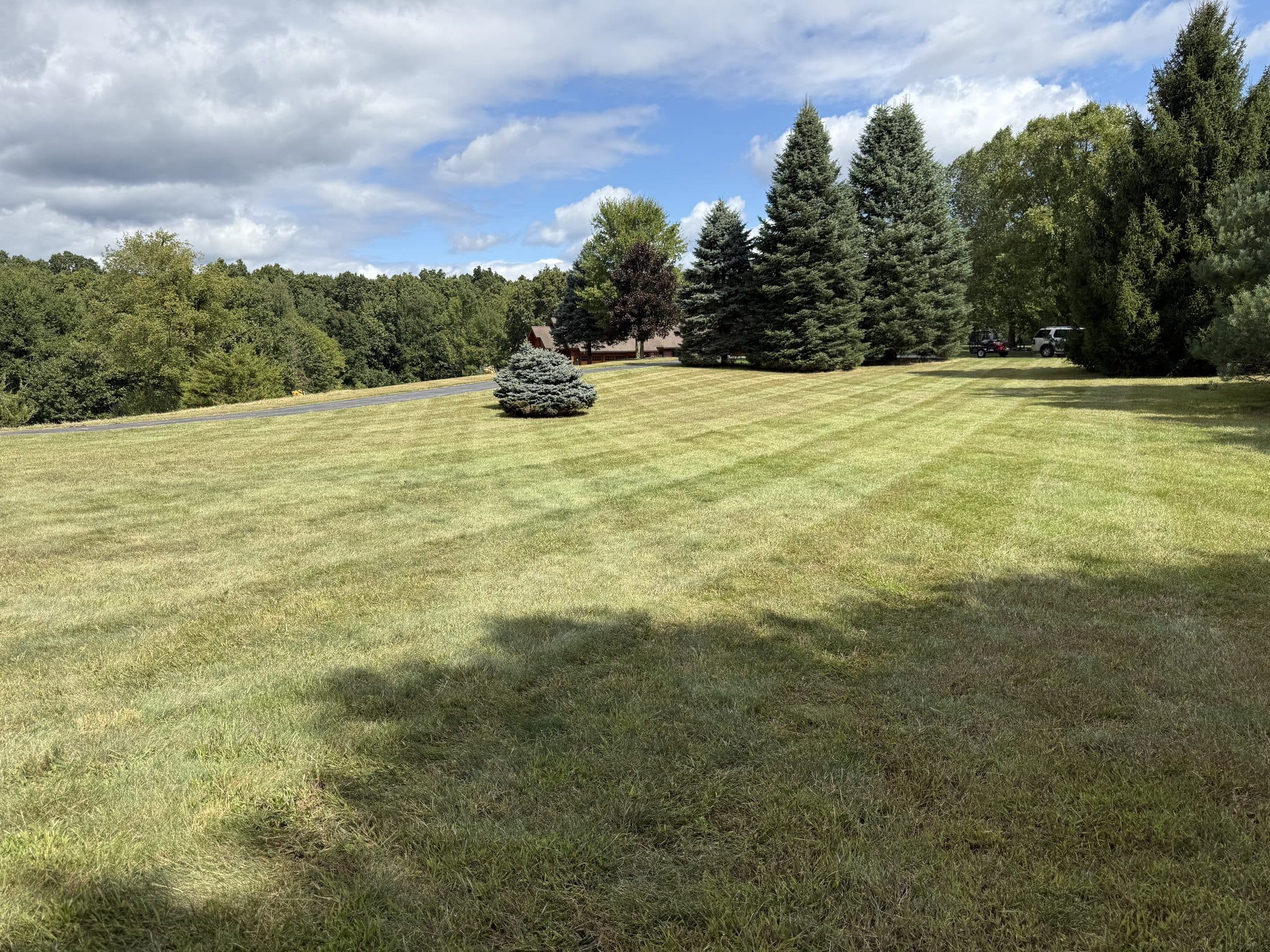 A wide, freshly striped lawn sweeping up toward a row of evergreen trees