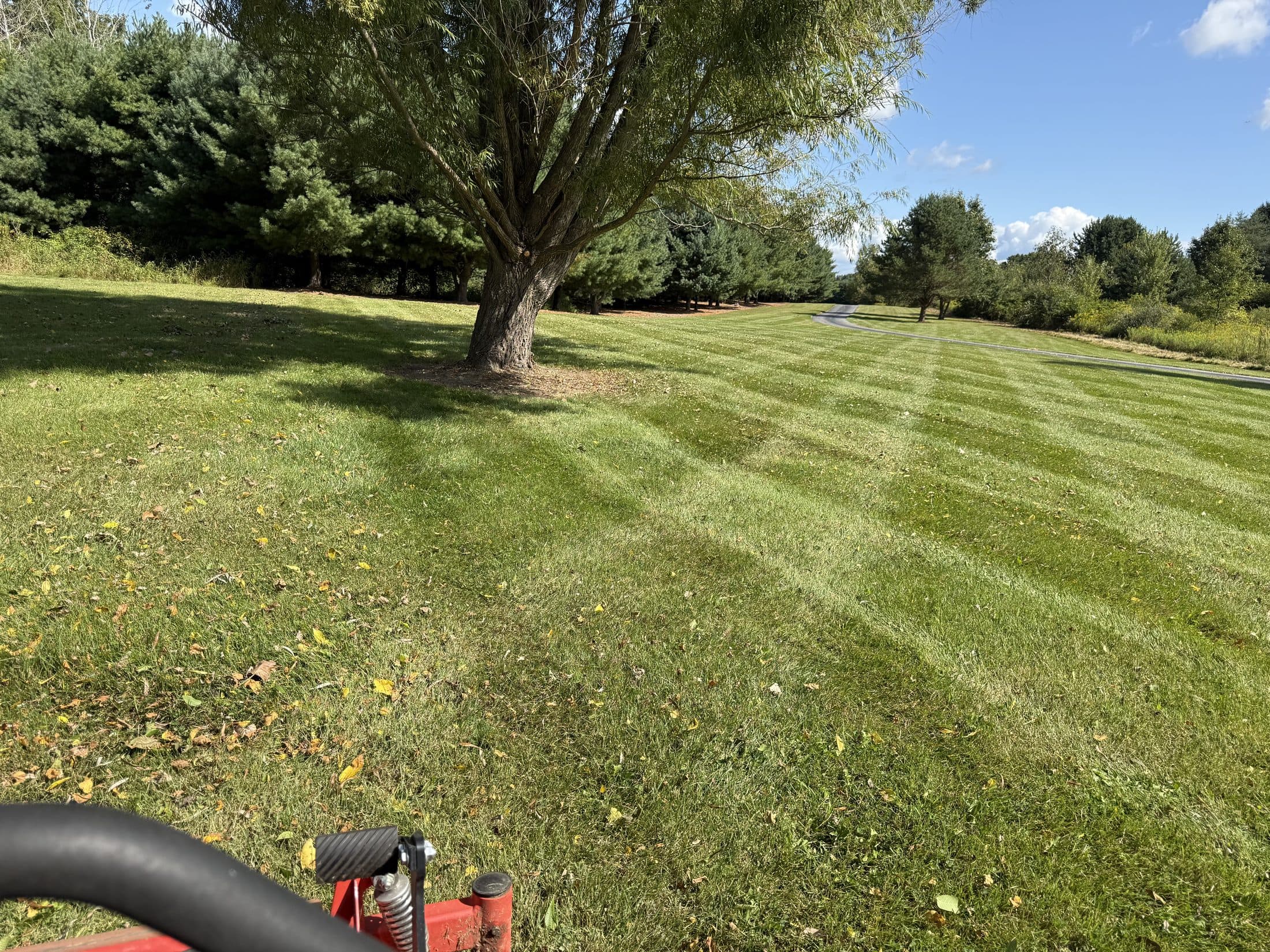A large lawn with fresh mowing stripes