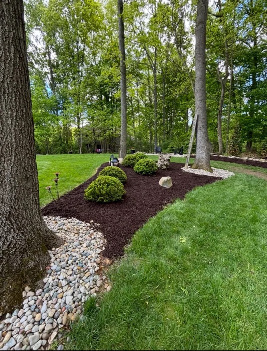 A freshly mulched bed with a river-rock border and shaped shrubs at a wooded property
