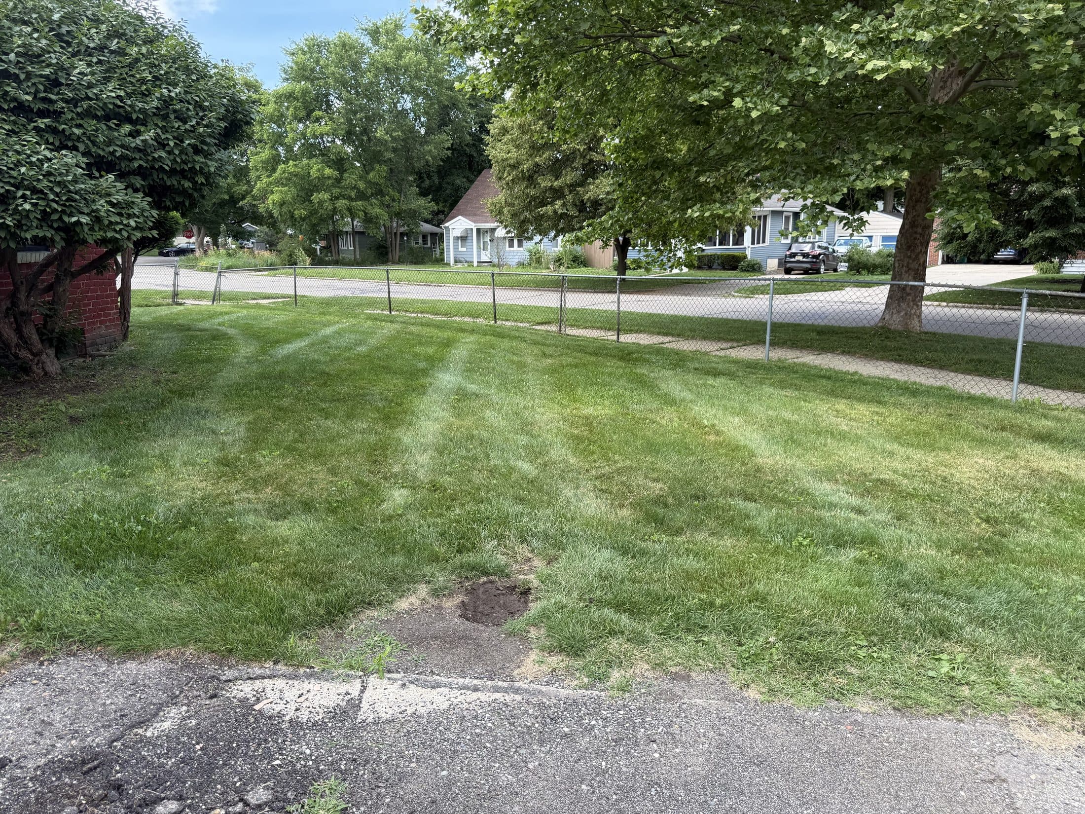A neatly striped residential lawn along a chain-link fence