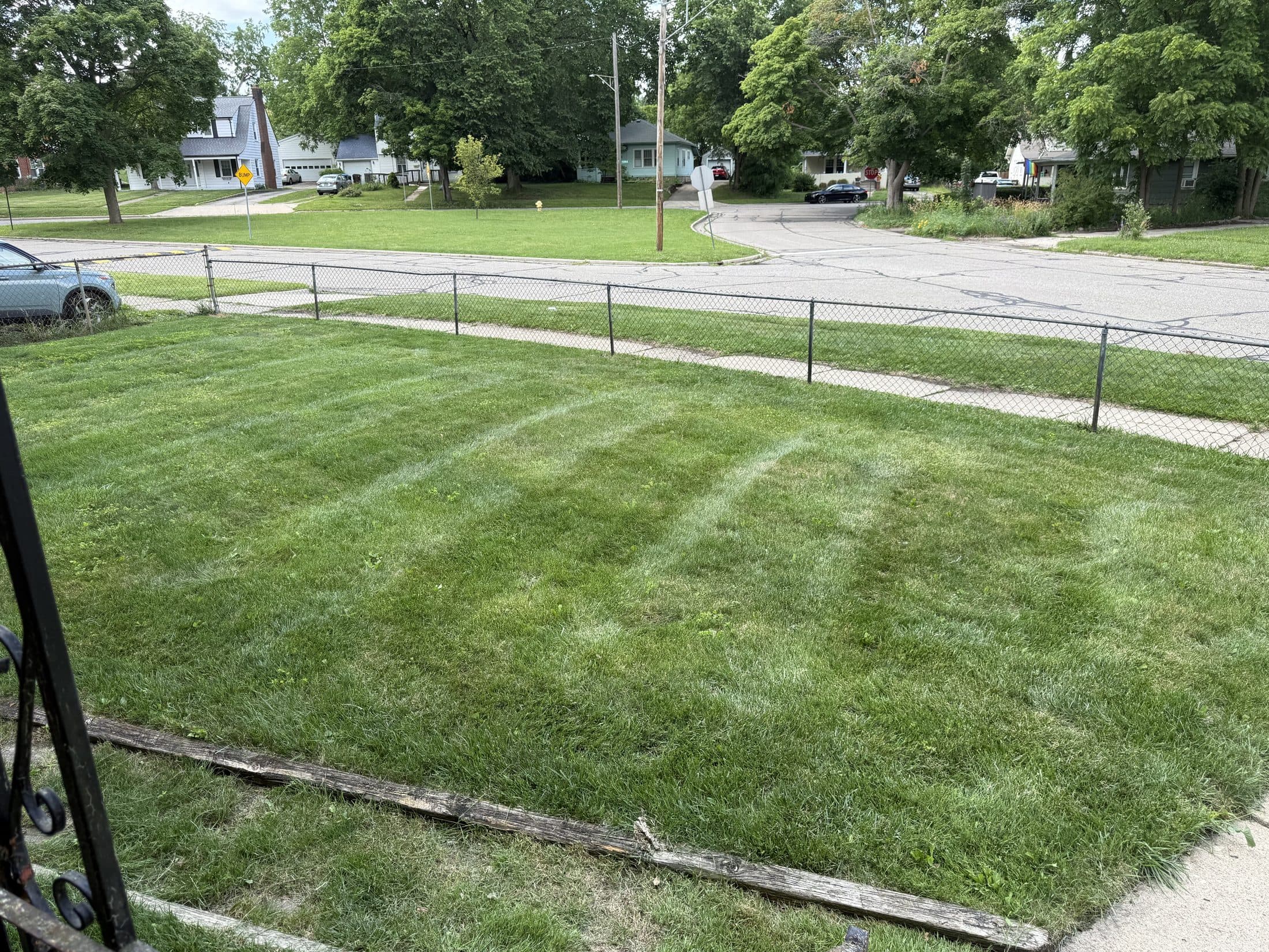 A crisply mowed front lawn on a quiet residential street