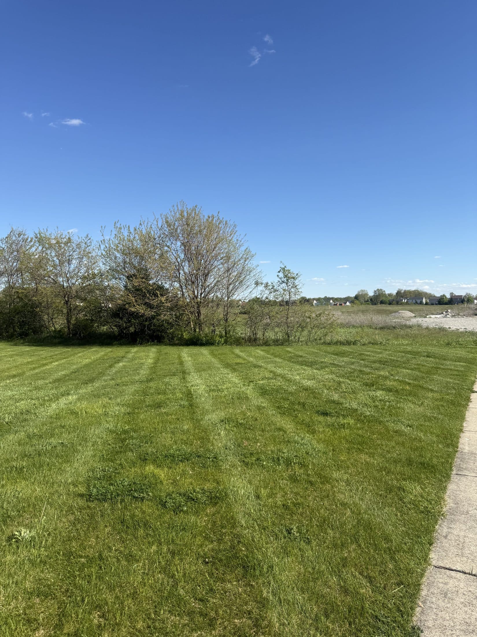 A neatly striped lawn under a clear blue sky